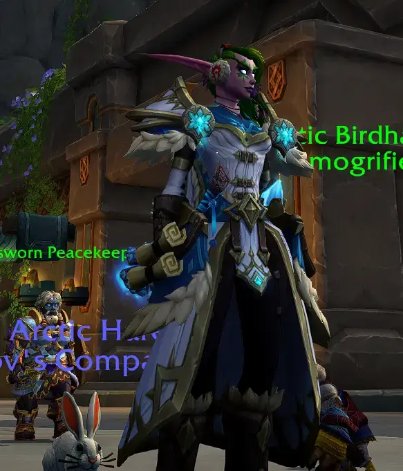 ElkeWTF's character wearing winter transmog set