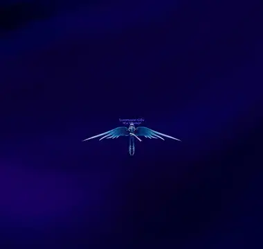 ElkeWTF's character in Spirit of Redemption form floating in the air due to an in game bug